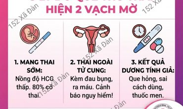 que-thu-thai-2-vach-mo-la-nhu-the-nao-dia-chi-pha-thai-an-toan-nam-2025