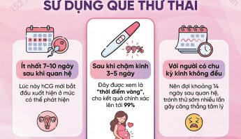 nen-thu-que-thu-thai-khi-nao-dia-chi-kham-pha-thai-an-toan-nam-2025